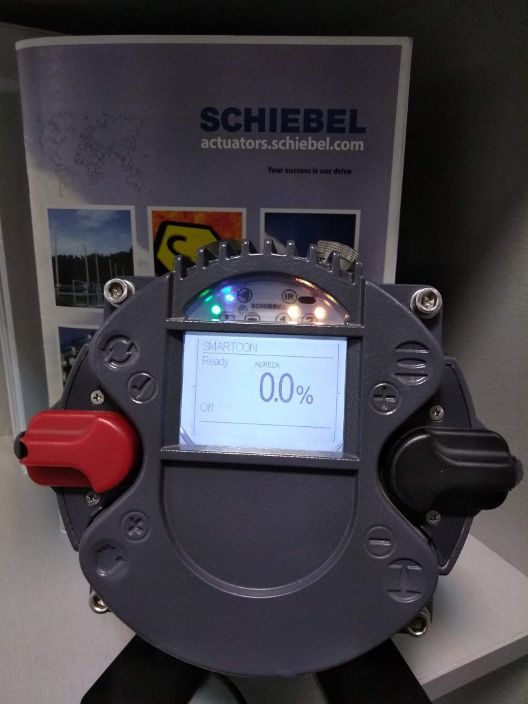 Electrical actuator smart control setting